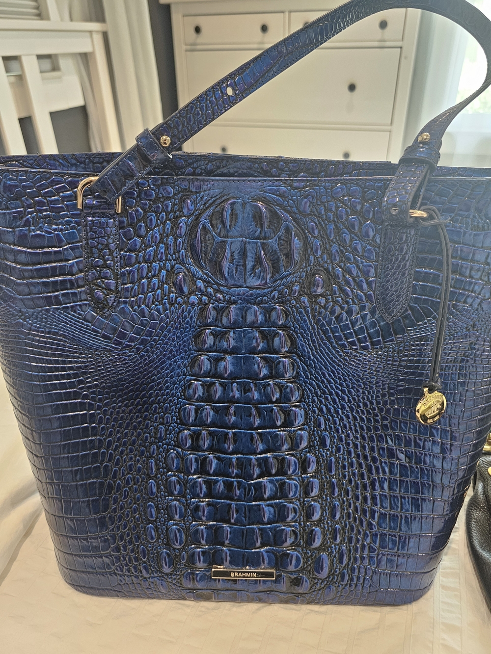 Rare! Brahmin Neptune Melbourne Ezra Tote, Stunning Color!